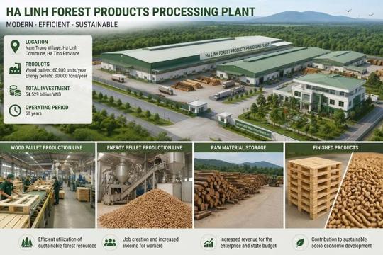 Ha Tinh Approves Investment Policy for Ha Linh Forestry Products Processing Plant Project