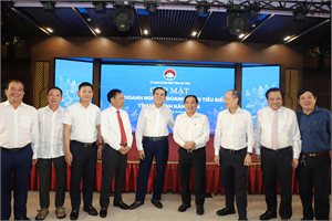 Các nhóm giải pháp phát triển kinh tế tư nhân Việt Nam