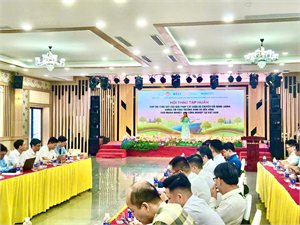 Chuyển đổi năng lượng xanh - Giải pháp phát triển bền vững cho doanh nghiệp 
