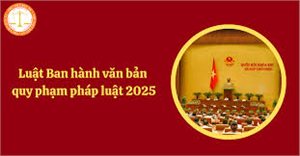 Sở Tài chính triển khai Luật Ban hành văn bản quy phạm pháp luật năm 2025