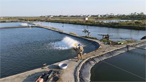 Hà Tĩnh chấp thuận đầu tư dự án Nuôi trồng thủy sản công nghệ cao tại phường Trần Phú 