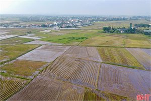Toàn cảnh khu vực đầu tư cụm công nghiệp hơn 267 tỷ đồng ở Hà Tĩnh