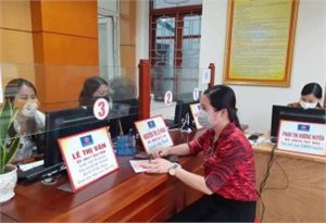 Hà Tĩnh: CCHC gắn phát triển kinh tế, bảo vệ môi trường bền vững 