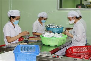 Doanh nghiệp Hà Tĩnh duy trì sản xuất trong điều kiện phòng dịch nghiêm ngặt