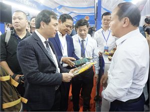 Lãnh đạo tỉnh Hà Tĩnh tham dự Hội nghị triển khai Chương trình hành động của Chính phủ thực hiện Nghị quyết số 26-NQ/TW ngày 03/11/2022 của Bộ Chính trị