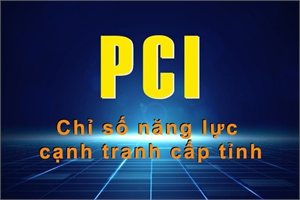 PCI 2022: Hà Tĩnh xếp thứ 18 
