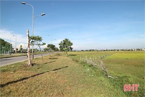 Hà Tĩnh chấp thuận đầu tư Tổ hợp văn phòng làm việc và thương mại dịch vụ MIPEC Hà Tĩnh tại thành phố Hà Tĩnh