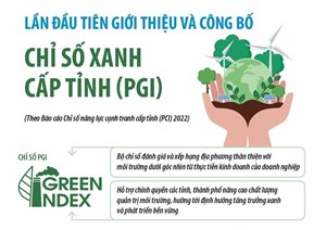 Chỉ số Xanh cấp tỉnh (PGI) - Công cụ mới tạo lập môi trường kinh doanh theo định hướng xanh