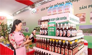 Tỉnh Hà Tĩnh tổ chức cuộc thi tìm hiểu về Cuộc vận động “Người Việt Nam ưu tiên dùng hàng Việt Nam” năm 2023
